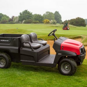 Workman GTX Gasolina